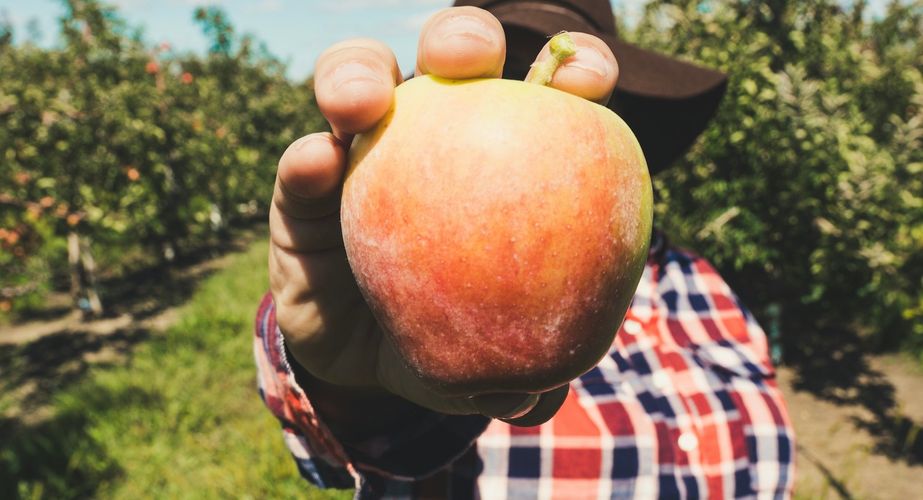 Appelgaard bezoeken Scott Farm Orchard Appelgaard bezoeken Scott Farm Orchard